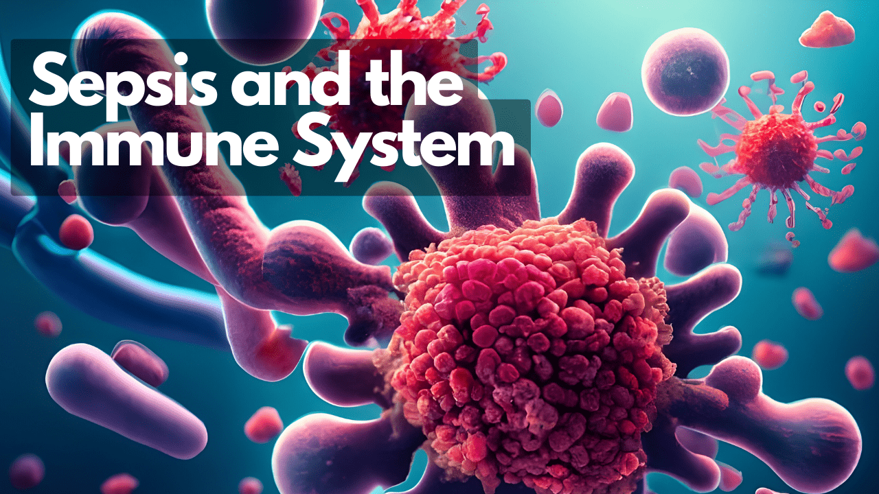 Sepsis and the immune system